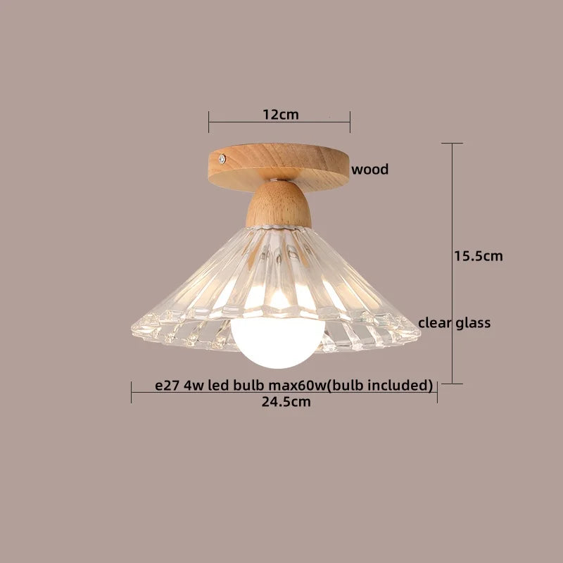 Axyaa Clear Glass LED Ceiling Lights Modern Ceiling Lamp Home Lighting