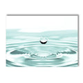 Axyaa Floral Beach Landscape Canvas Painting Nordic Modern Wall Art for Home Decor