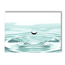 Axyaa Floral Beach Landscape Canvas Painting Nordic Modern Wall Art for Home Decor