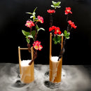 Axya Seafood Pose Bamboo Tube Sushi Sashimi Swing Plate