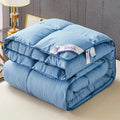 Axyaa 95 White Goose Down Winter Quilt: Luxurious & Warm Duvet Insert for All Seasons