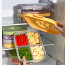 Axyaa Refrigerator Fresh-keeping Box 3/4/6 Grids Onion Garlic Pepper Storage Organizer
