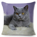 Axyaa British Shorthair Russian Blue Cat Cushion Cover - Cute Pet Animal Pillowcase