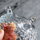 Axyaa Glass Bowl Set for Desserts, Soups, Salads - Creative Three-Legged Design