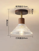 Axyaa LED Glass Ceiling Light Chandelier for Home Living Room Bedroom
