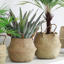 Axyaa Seagrass Rattan Basket: Toy & Flowerpot Organizer, Hanging Storage Bin