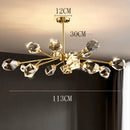 Axyaa Luxury Crystal Chandelier for Living Room and Bedroom, Indoor Ceiling Light