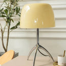Axyaa Colorful Glass Floor Lamp for Living Room Bedroom Study Lighting