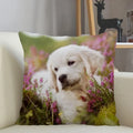 Axyaa Golden Retriever Dog Sofa Pillowcase for home decor