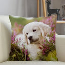 Axyaa Golden Retriever Dog Sofa Pillowcase for home decor