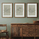 Vintage Pumpkin Print Set by Axyaa - Autumn Wall Art Trio