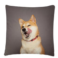 Axyaa Dog Art Print Polyester Cushion Cover for Home Sofa Car Decor