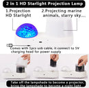Axyaa Starry Sky Night Light Projector: Constellation Galaxy Nebula Projection Lamp