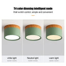 Axyaa Nordic Wood LED Downlight 5W-15W Macaroon Modern Ceiling Light Surface Mounted Spotlight