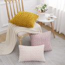 Axyaa Faux Fur Plush Pillow Cases Set of 2