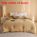 Axyaa Winter Quilt - Double-Sided Milk Fleece Embroidered Thickened Fleece Warm Quilt