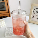 Axyaa Glass Tumbler with Lid and Straw for Cold Drinks