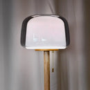 Axyaa Glass Floor Lamp: Modern Simple LED Reading Desk Lamp for Living Room or Bedroom