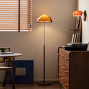 Axyaa Dark Brown Acrylic Floor Lamp for Elegant Living Spaces