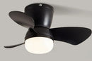 Axyaa Ceiling Fan Light with Variable Frequency Control