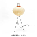 Axyaa Noguoyong Teahouse Xuan Paper Floor Lamp