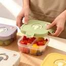 Axyaa Divided Lunch Box: Leakproof Portable Container for Salad, Fruit, and Bento