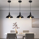 Axyaa Industrial Pendant Lamp - Retro Loft Light Fixture for Modern Kitchen and Living Room Decor