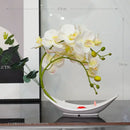 Axyaa Simulated Butterfly Orchid Ceramic Flowerpot Set for Home Decoration
