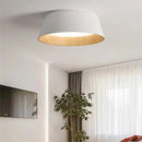 Axyaa Nordic Pendant Light for Living Dining Room Ceiling Suspension