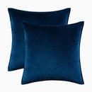 Axyaa Velvet Throw Pillow Cover Set for Sofa Bedroom, Modern Gift Pillowcase
