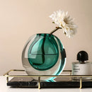 Axyaa Glass Vase: Elegant Decor for Living Room, Dining Table, Fresh Flowers & Hydroponics