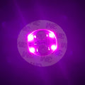 LED Light Coaster for Wine Bottles by Axyaa - Party Decor Illuminated Stickers