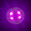 LED Light Coaster for Wine Bottles by Axyaa - Party Decor Illuminated Stickers