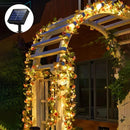 Champagne Rose Vine Fairy Lights by Axyaa - Indoor Outdoor Holiday Wedding Decor