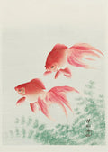 Yuming Yamanaka Cherry Blossoms Canvas Print Wall Art Posters by Axyaa