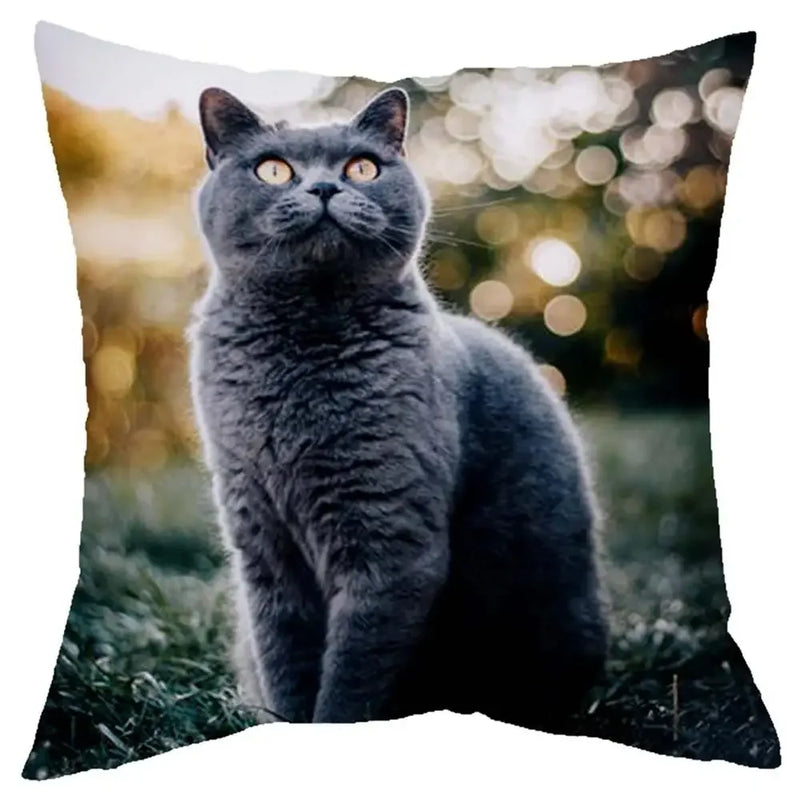 Axyaa Cat Design Sofa Cushion Cover 45x45cm