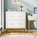 Axyaa 2 Drawer Lateral File Cabinet for Letter/Legal/A4 Size, Modern Office Storage