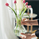 Axyaa Clear Retro Flower Vase Hydroponics Plants Pot Glass Decor Container