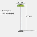 Axyaa Nordic Luxury Glass Floor Lamp LED 57" Tall Minimalist Standing Light