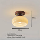 Axyaa Modern LED Ceiling Light for Home Decor in Living Dining Bedroom Kitchen