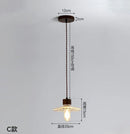 Axyaa Nordic Glass Pendant Chandelier LED Lighting for Home Decor