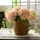 Axyaa Grass Woven Flower Basket: Universal Indoor Succulent Organizer