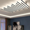 Axyaa Modern Elegant Ceiling Light for Living Room and Hallway