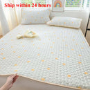 Axyaa Ice Silk Mat Cool Mattress Protector Set