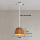 Axyaa Nordic LED Pendant Lamp Cream Resin Hanging Light Fixtures