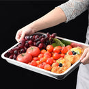 Axyaa Stainless Steel Food Storage Tray Rectangular Baking Pan for Kitchen and BBQ