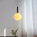 Axyaa Black Iron LED Pendant Light with PMMA Shade for Dining & Living Room