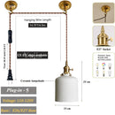 Axyaa Adjustable Glass Pendant Light with E27 Base for Living Room Bedroom Kitchen