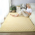 Axyaa 2cm Coral Fleece Carpet | Custom Size | Thickened | Branded Quality