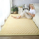 Axyaa 2cm Coral Fleece Carpet | Custom Size | Thickened | Branded Quality